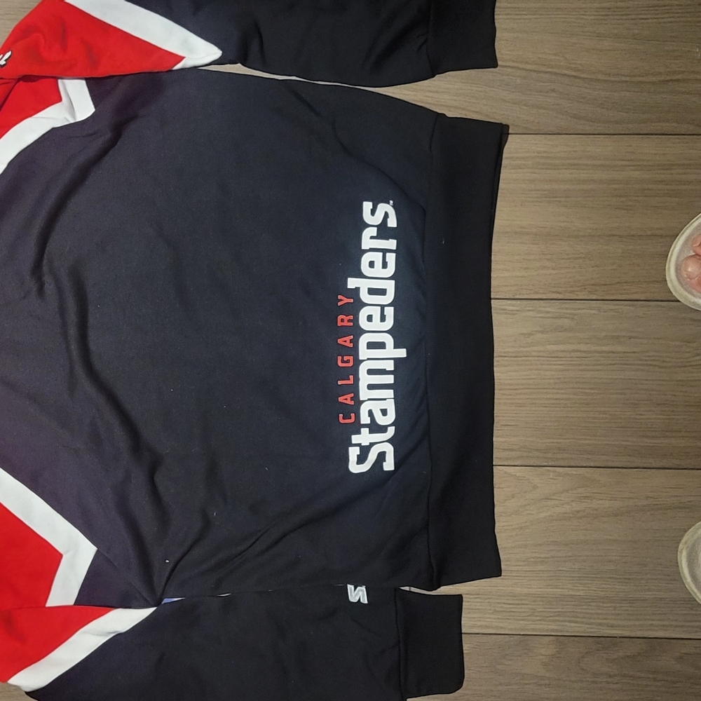 STARTER. .HOODIE - Picture 3 of 3